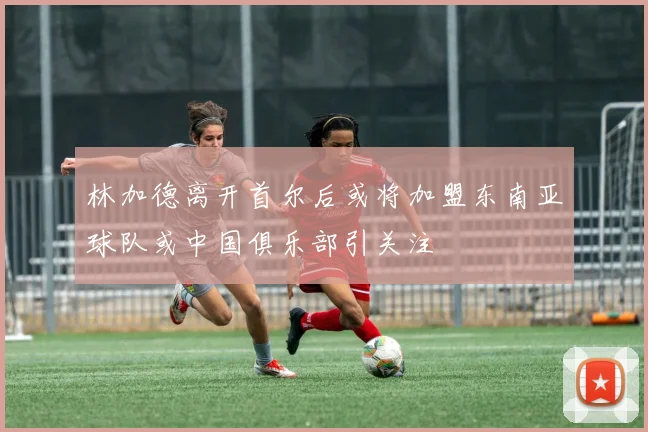 林加德离开首尔后或将加盟东南亚球队或中国俱乐部引关注