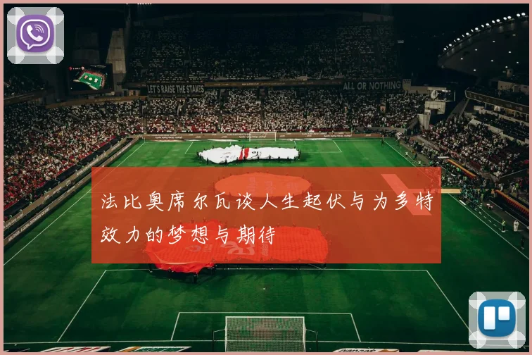 法比奥席尔瓦谈人生起伏与为多特效力的梦想与期待