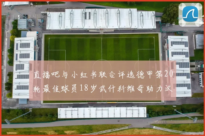 直播吧与小红书联合评选德甲第20轮最佳球员18岁武什科维奇助力汉堡逼平拜仁