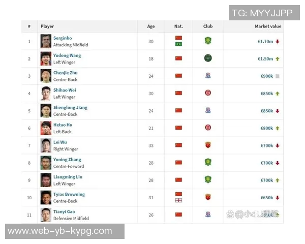 德国转会市场网发布2025年中超联赛球员身价年终更新引发关注